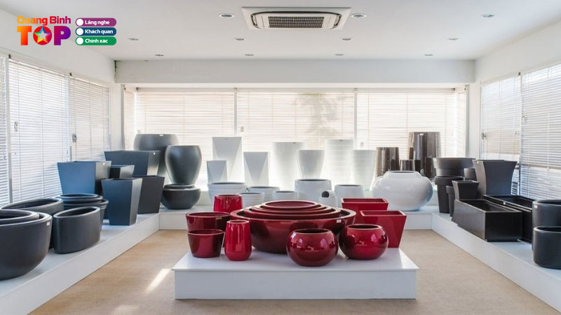 thumbanil-chau-cay-canh-dong-hoi-quangbinhtoplist