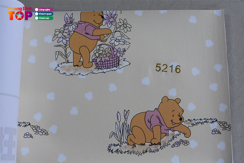 Giay-dan-tuong-bao-la-quangbinhtoplist