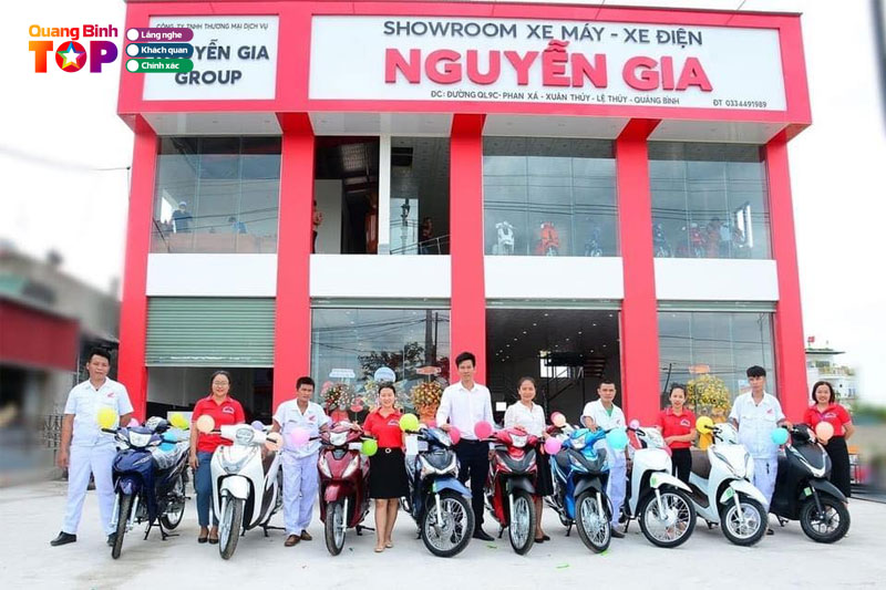 Xe-dap-dien-nguyen-gia-1-quangbinhtoplist