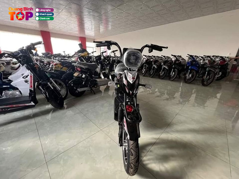 Xe-dap-dien-nguyen-gia-quangbinhtoplist