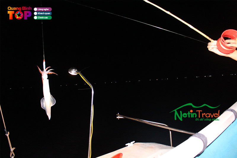 Dich-vu-cau-muc-netintravel-quangbinhtoplist