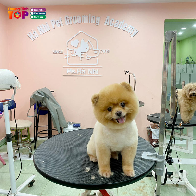 Khach-san-thu-cung-ha-nhi-pet-house-quangbinhtoplist