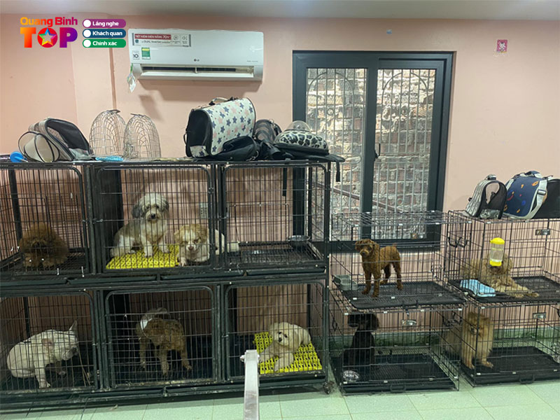 Khach-san-thu-cung-ha-nhi-quangbinhtoplist