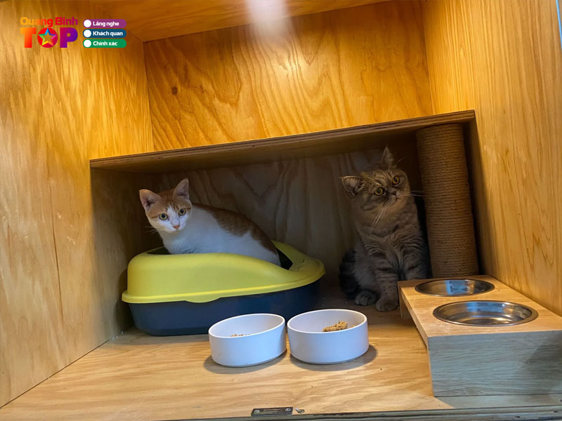 Khach-san-thu-cung-pet-care-quangbinhtoplist