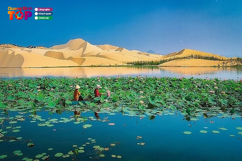 Tho-ve-con-cat-quang-binh-quangbinhtoplist-1