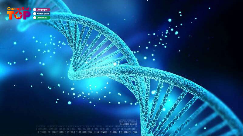 Thumbnail-xet-nghiem-adn-quangbinhtoplist