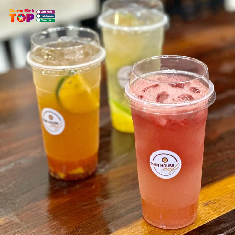 Nuoc-ep-sinh-to-phin-house-quangbinhtoplist