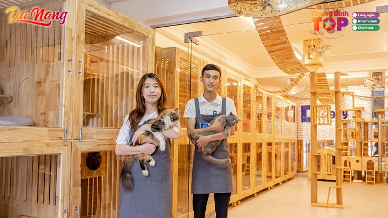 Kham-pha-thanhpho-danang-vn-quangbinhtoplist-2