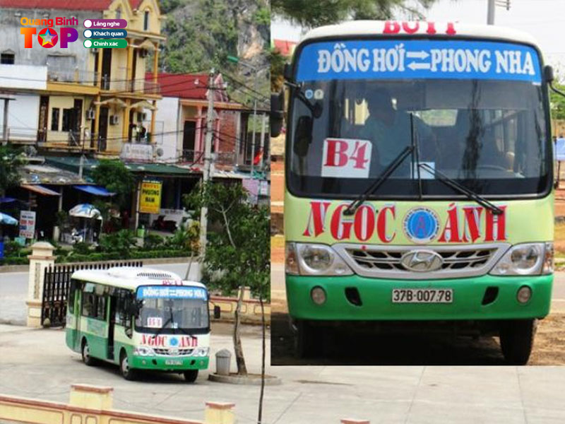 Xe-buyt-phong-nha-quangbinhtoplist
