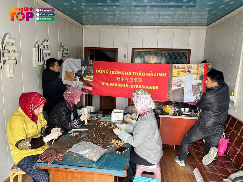 Dong-trung-ha-thao-ha-linh-quangbinhtoplist