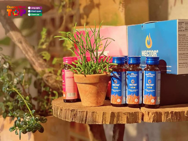 Dong-trung-ha-thao-hector-quangbinhtoplist