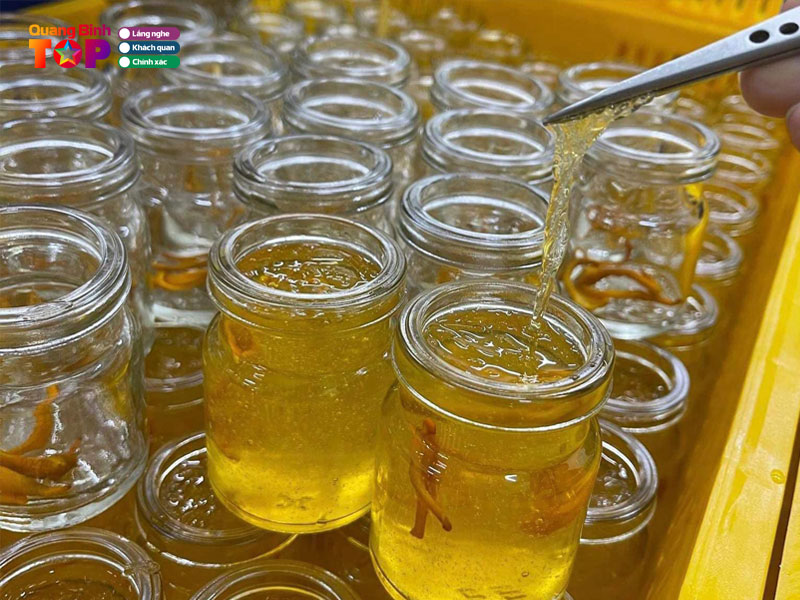 Dong-trung-ha-thao-son-hai-quangbinhtoplist