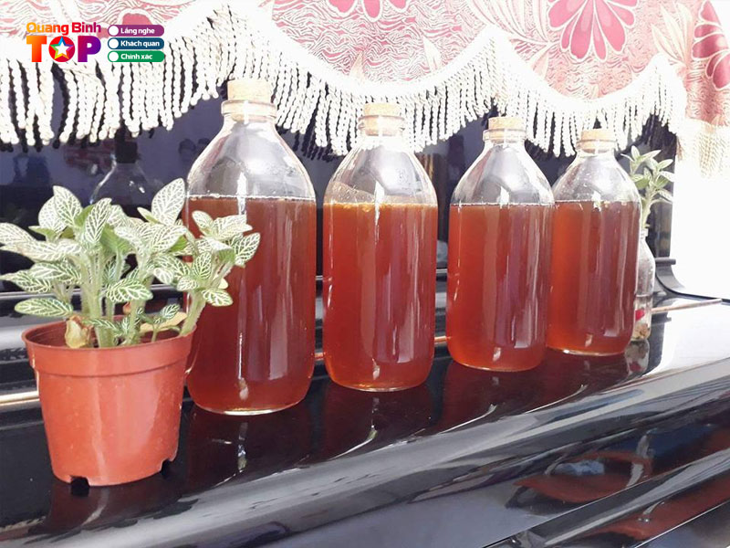 Mat-ong-minh-hoa-quangbinhtoplist