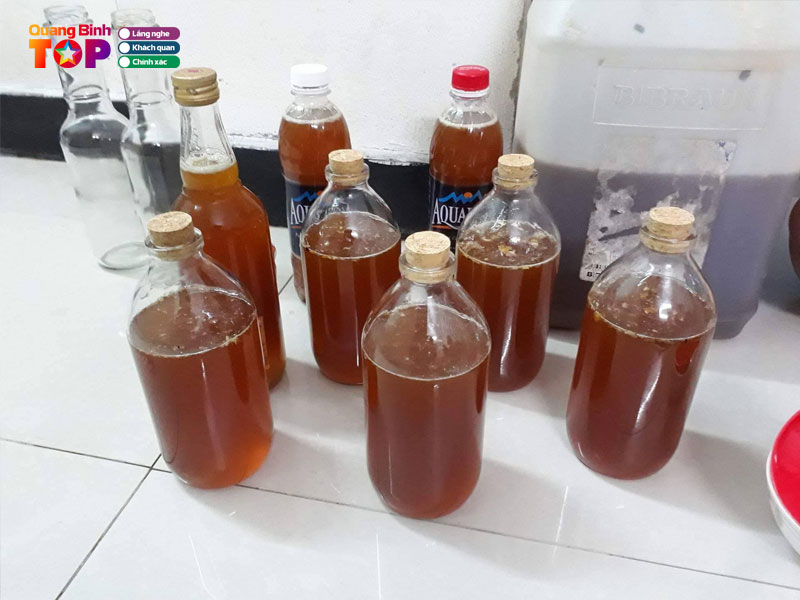 Mat-ong-rung-tinh-bong-quangbinhtoplist