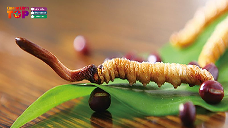 Thumbnail-dia-chi-ban-dong-trung-ha-thao-quangbinhtoplist