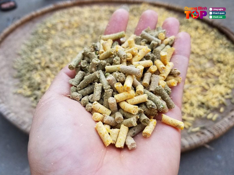 Dai-ly-phan-phoi-thuc-an-chan-nuoi-minh-chau-quangbinhtoplist