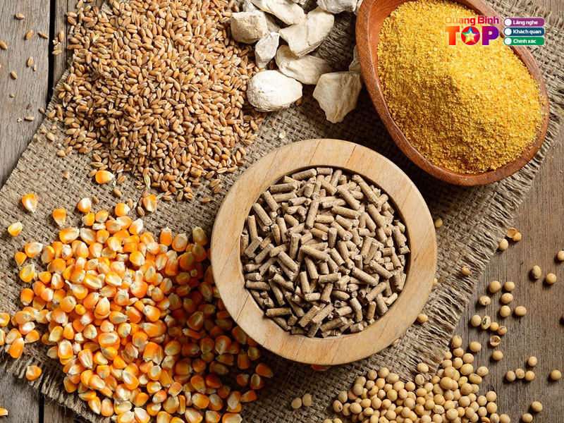 Dai-ly-phan-phoi-thuc-an-chan-nuoi-quangbinhtoplist