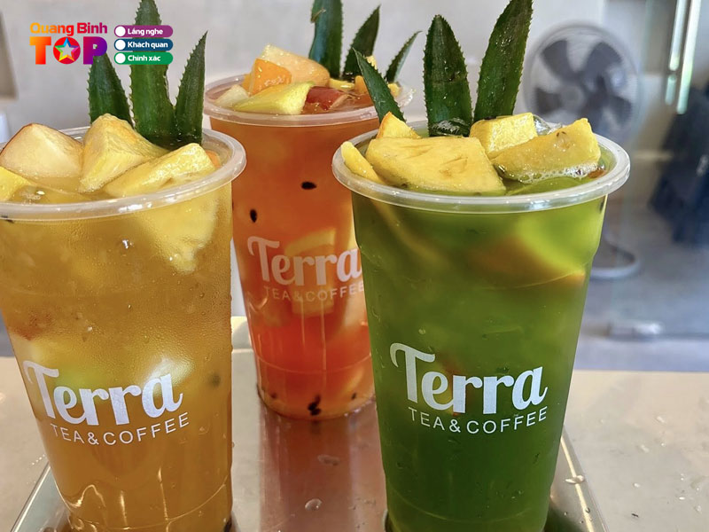 Terra-tea-quangbinhtoplist