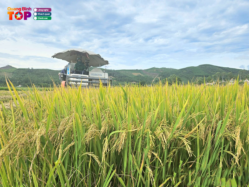 Quang-binh-que-ta-quangbinhtoplist