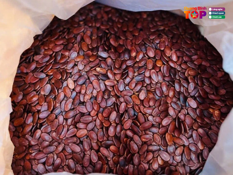 Bach-hoa-xanh-quangbinhtoplist