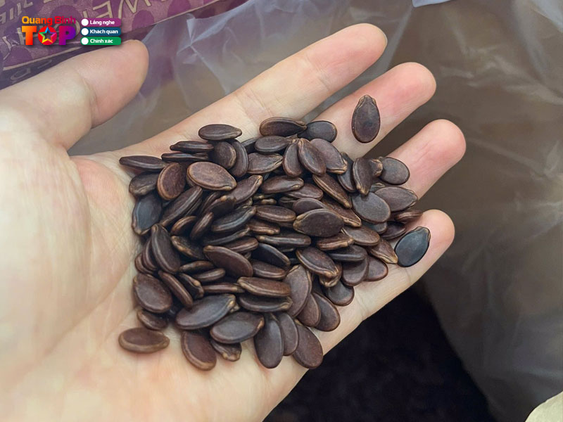 Sieu-thi-mini-dung-ngoc-quangbinhtoplist