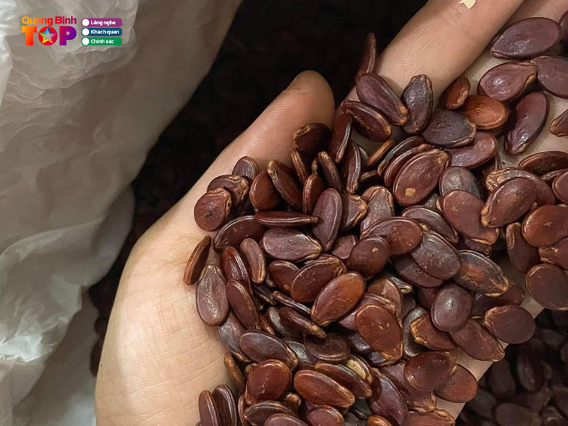 Trung-tam-thuong-mai-thien-nhan-quangbinhtoplist