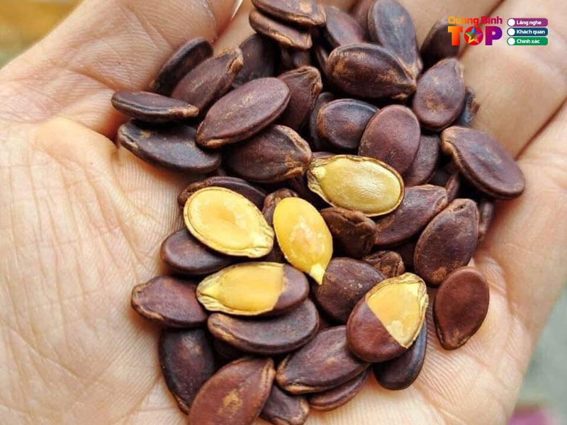 Trung-tam-thuong-mai-tuan-viet-quangbinhtoplist