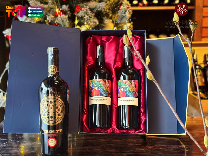 Wine-plaza-quangbinhtoplist