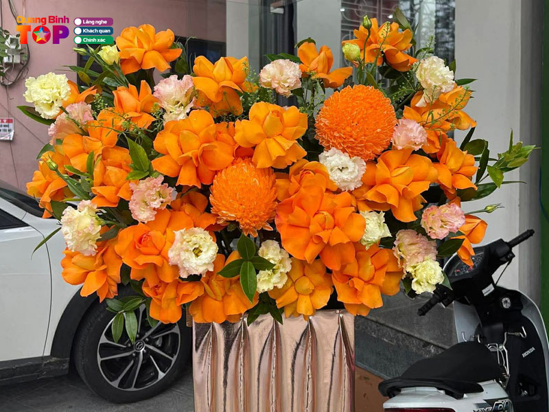 Phong-lan-flowers-quangbinhtoplist