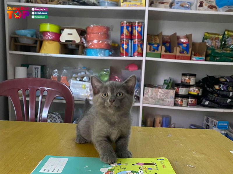 Thao-pet-shop-quangbinhtoplist
